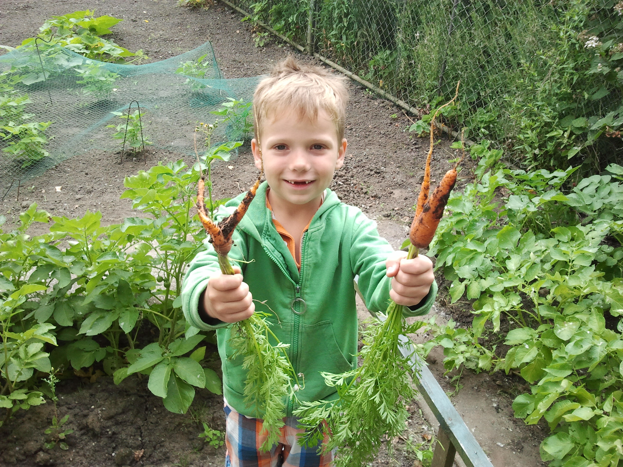 Versterken Verslaafde Serie van 10 Tips voor een kindvriendelijke tuin - Cruydthof blog